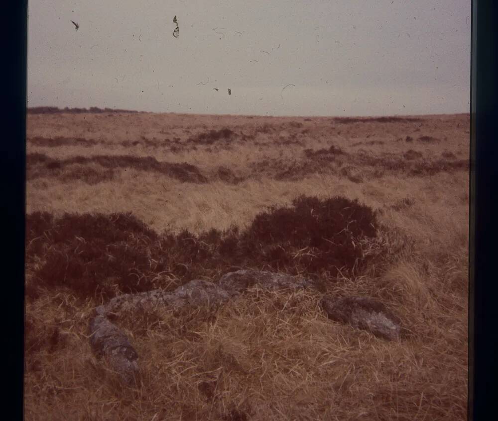 An image from the Dartmoor Trust Archive