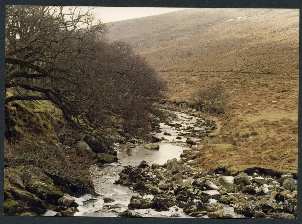 An image from the Dartmoor Trust Archive