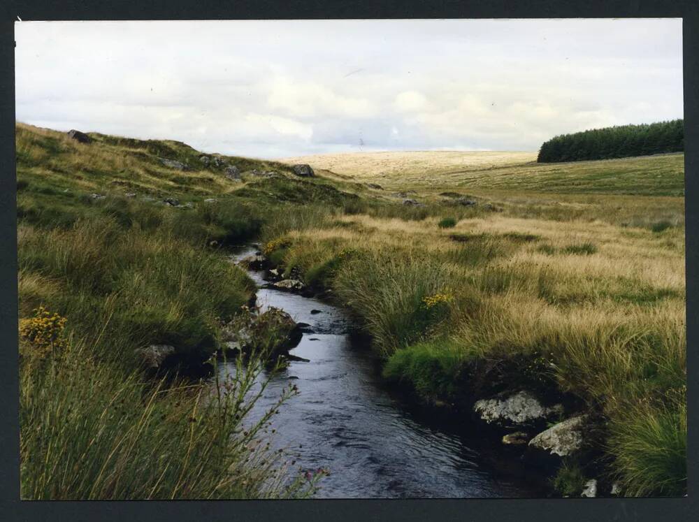 An image from the Dartmoor Trust Archive