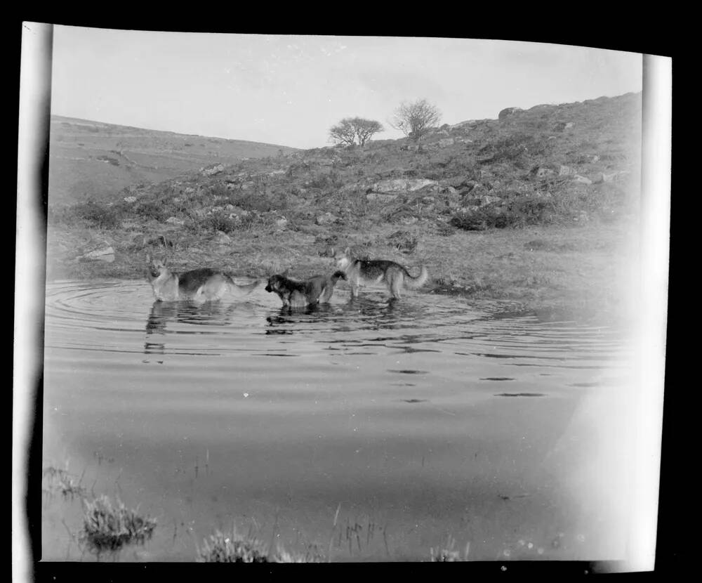 An image from the Dartmoor Trust Archive