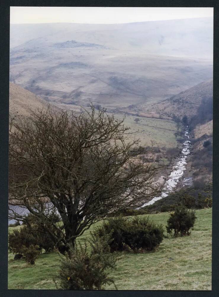 An image from the Dartmoor Trust Archive