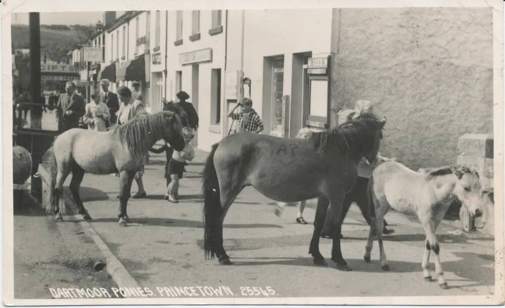 An image from the Dartmoor Trust Archive