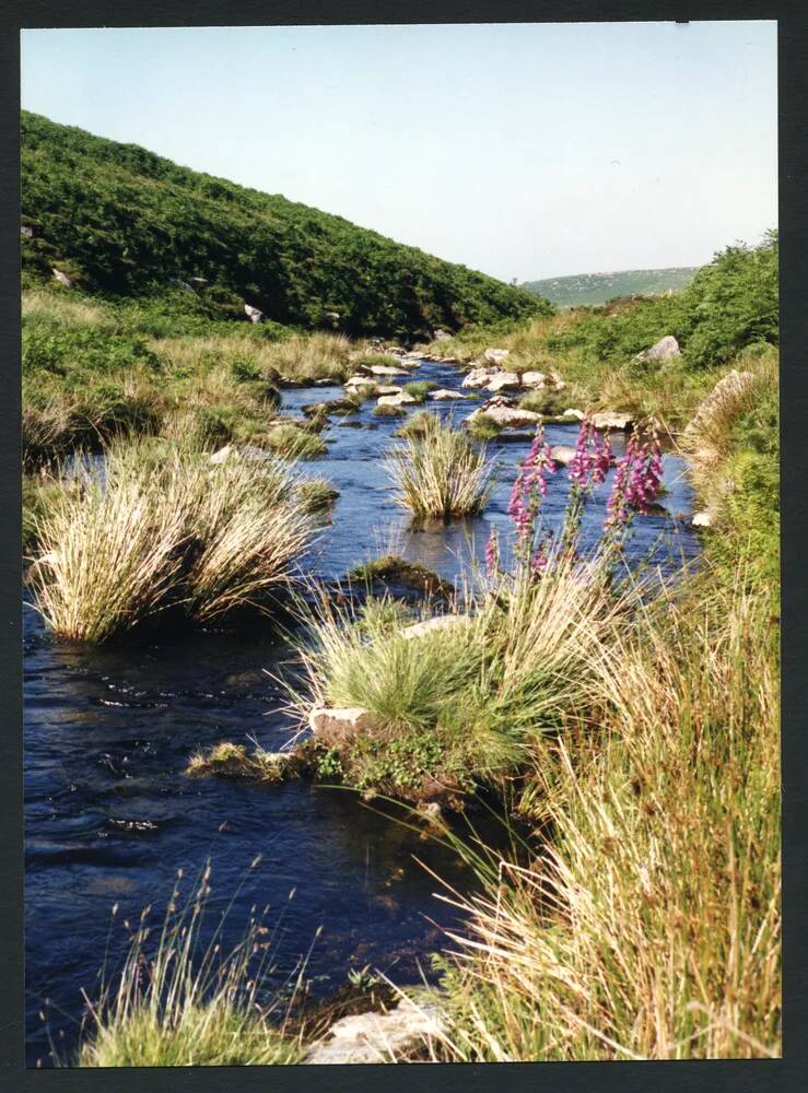 An image from the Dartmoor Trust Archive