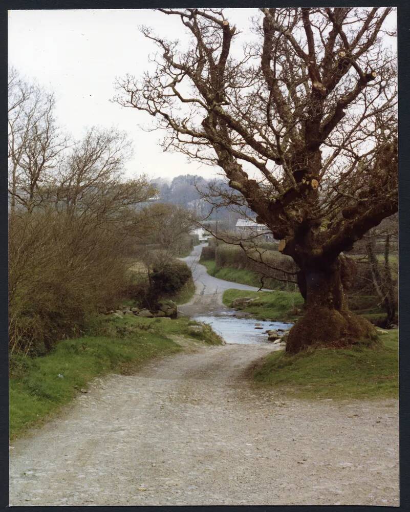 An image from the Dartmoor Trust Archive