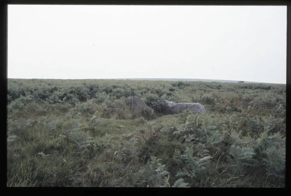 Menhir near Venford