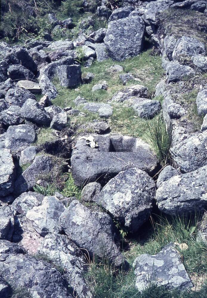 An image from the Dartmoor Trust Archive