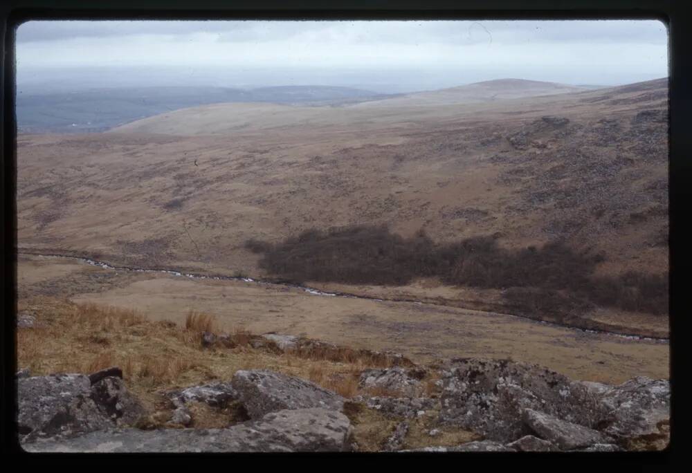 Black Tor and copse