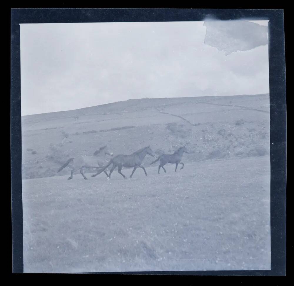 An image from the Dartmoor Trust Archive