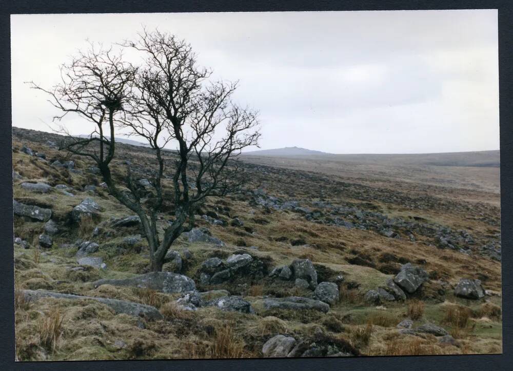 An image from the Dartmoor Trust Archive