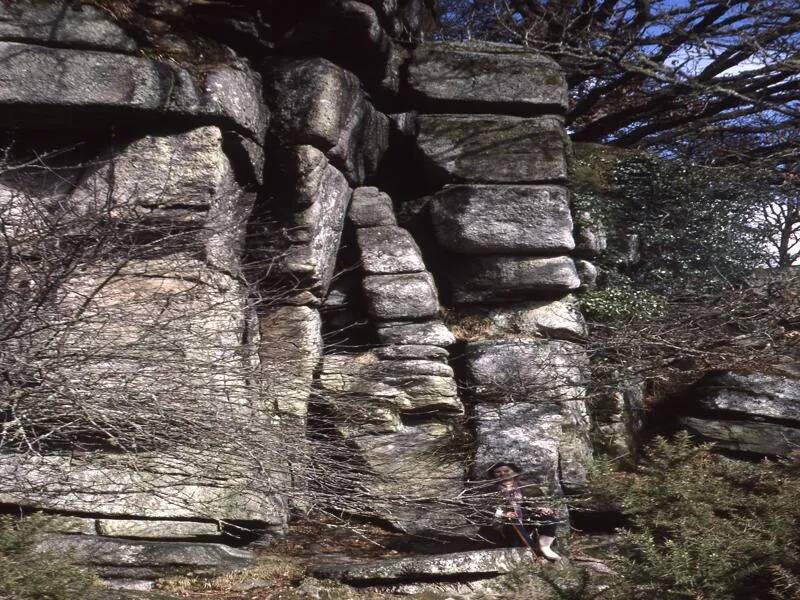 An image from the Dartmoor Trust Archive