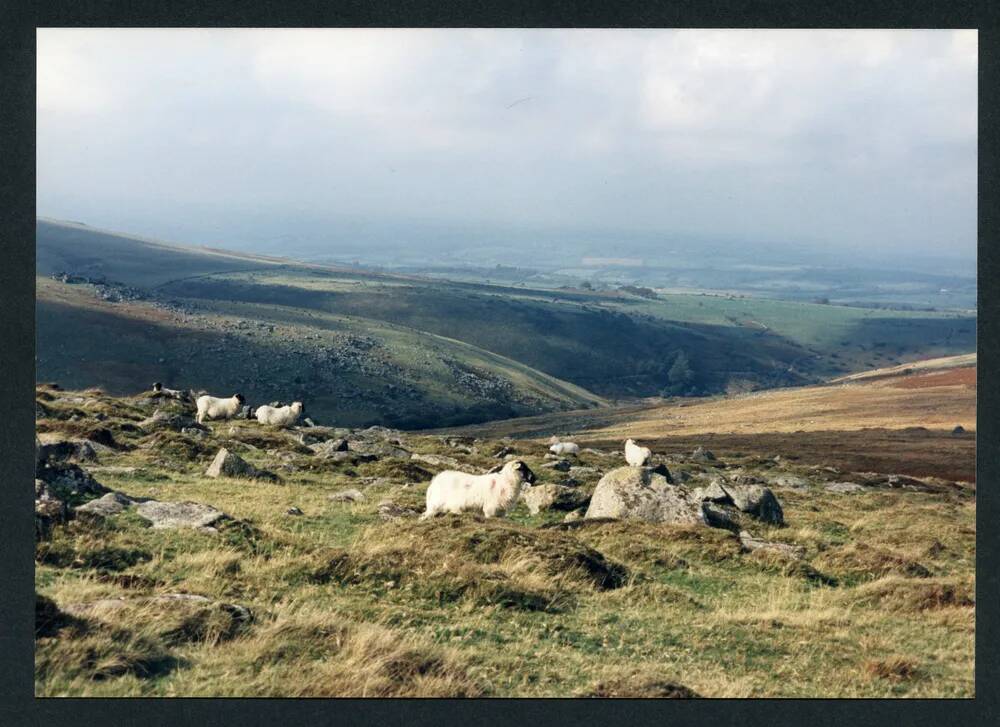 An image from the Dartmoor Trust Archive