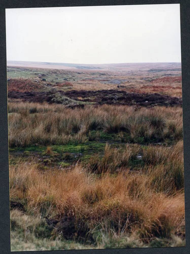 An image from the Dartmoor Trust Archive