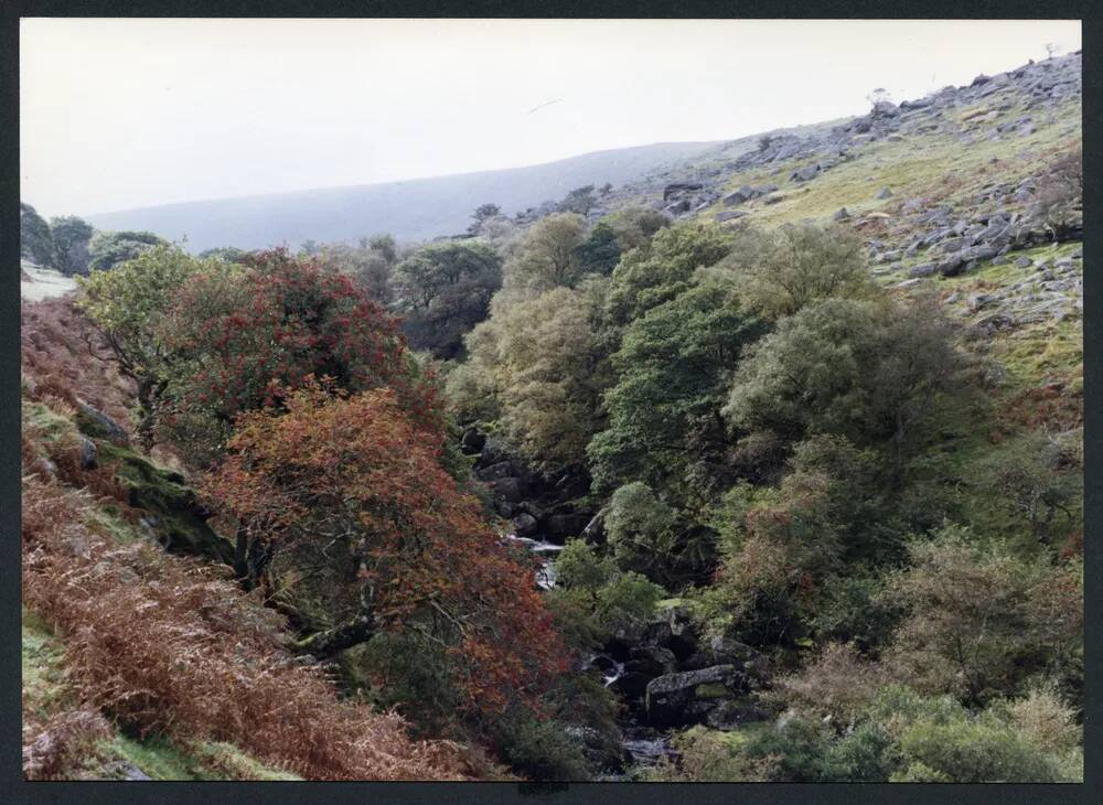 An image from the Dartmoor Trust Archive