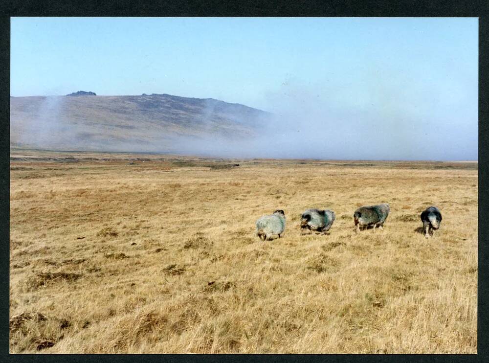 An image from the Dartmoor Trust Archive