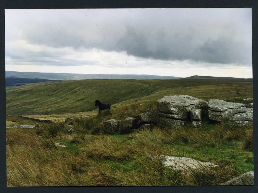 An image from the Dartmoor Trust Archive