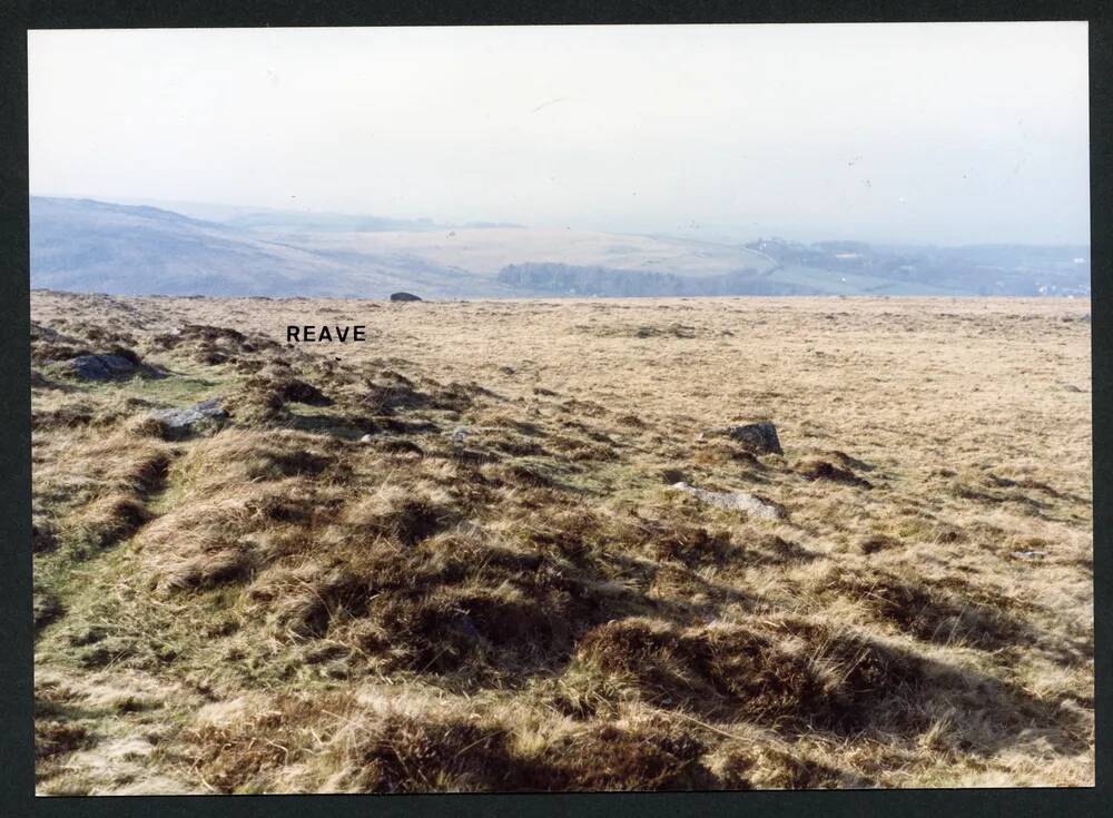 An image from the Dartmoor Trust Archive