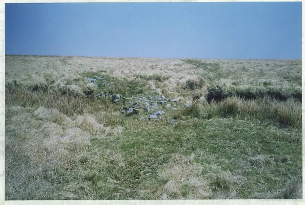 An image from the Dartmoor Trust Archive