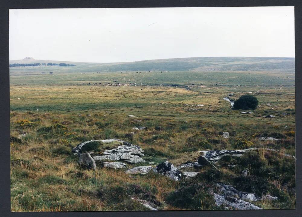 An image from the Dartmoor Trust Archive