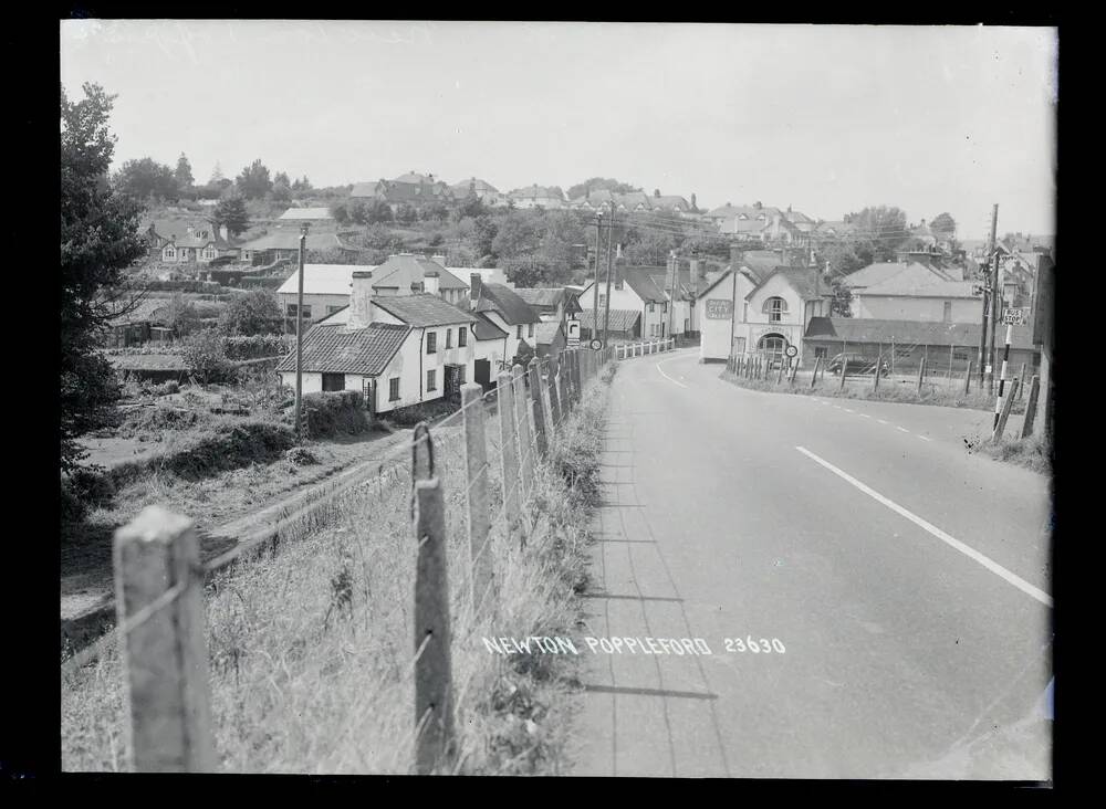 Street view, Newton Poppleford