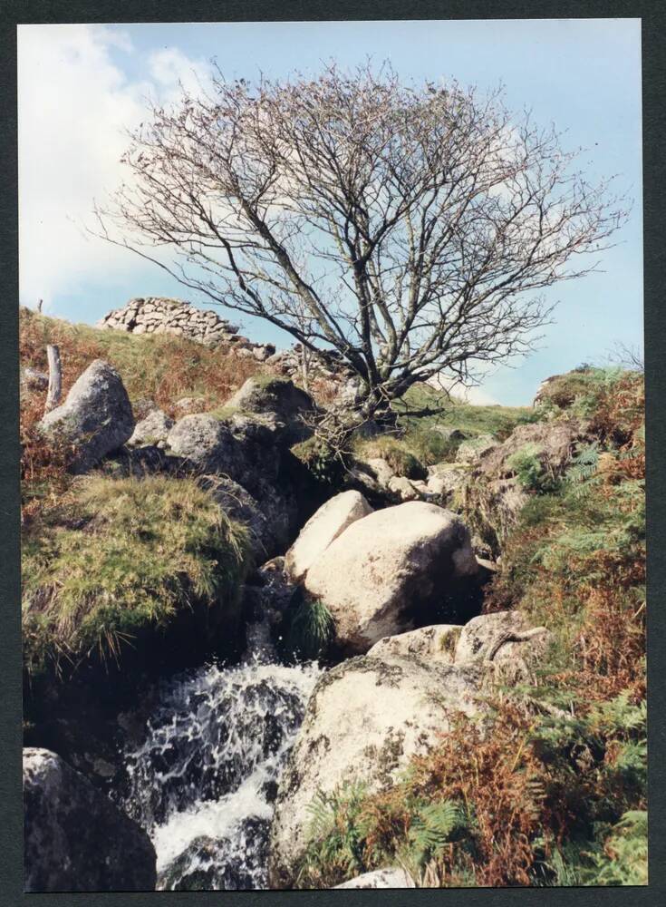 An image from the Dartmoor Trust Archive