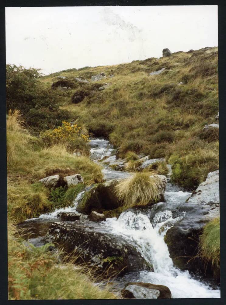 An image from the Dartmoor Trust Archive