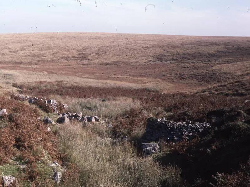 An image from the Dartmoor Trust Archive