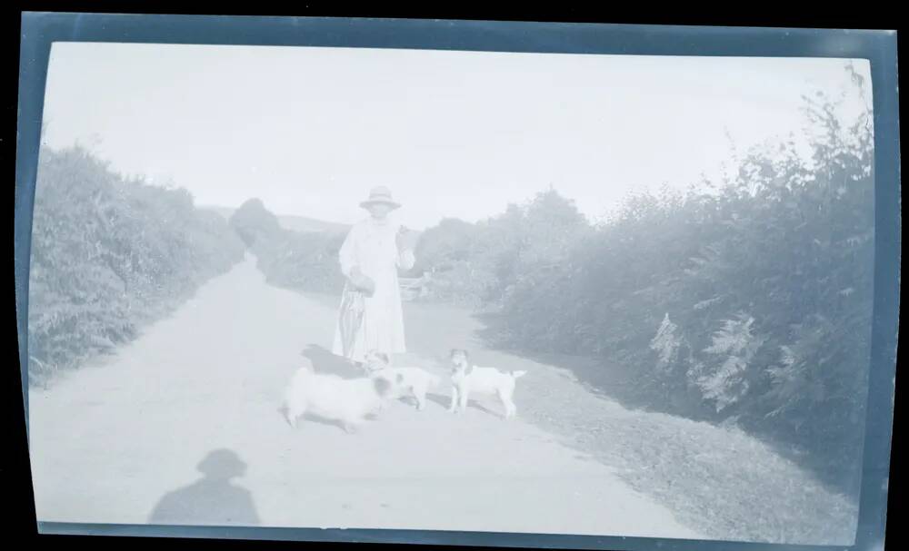 An image from the Dartmoor Trust Archive