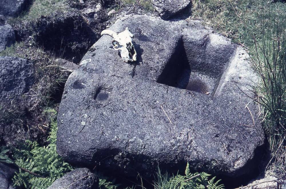 An image from the Dartmoor Trust Archive