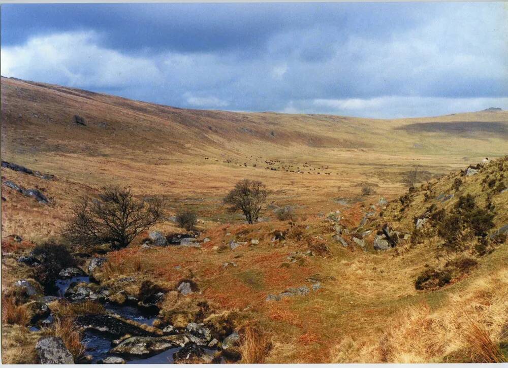 An image from the Dartmoor Trust Archive