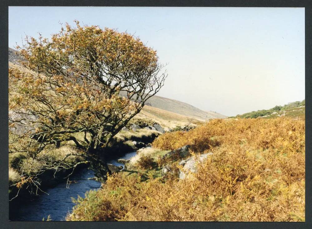 An image from the Dartmoor Trust Archive