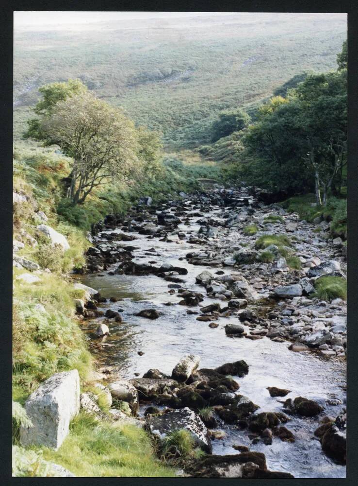 An image from the Dartmoor Trust Archive