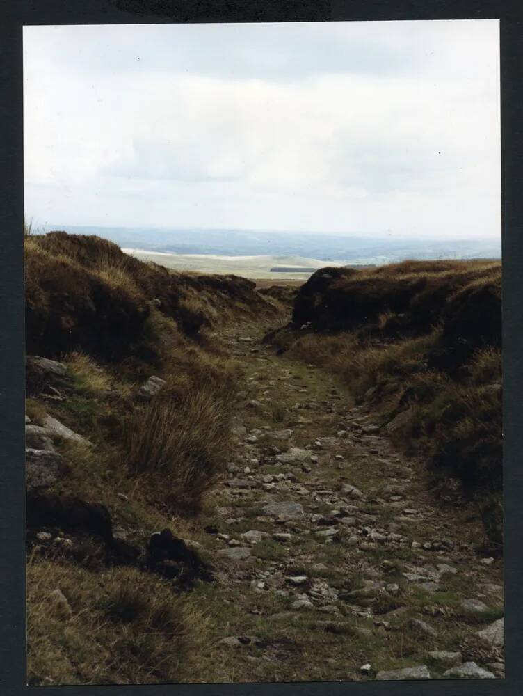 An image from the Dartmoor Trust Archive