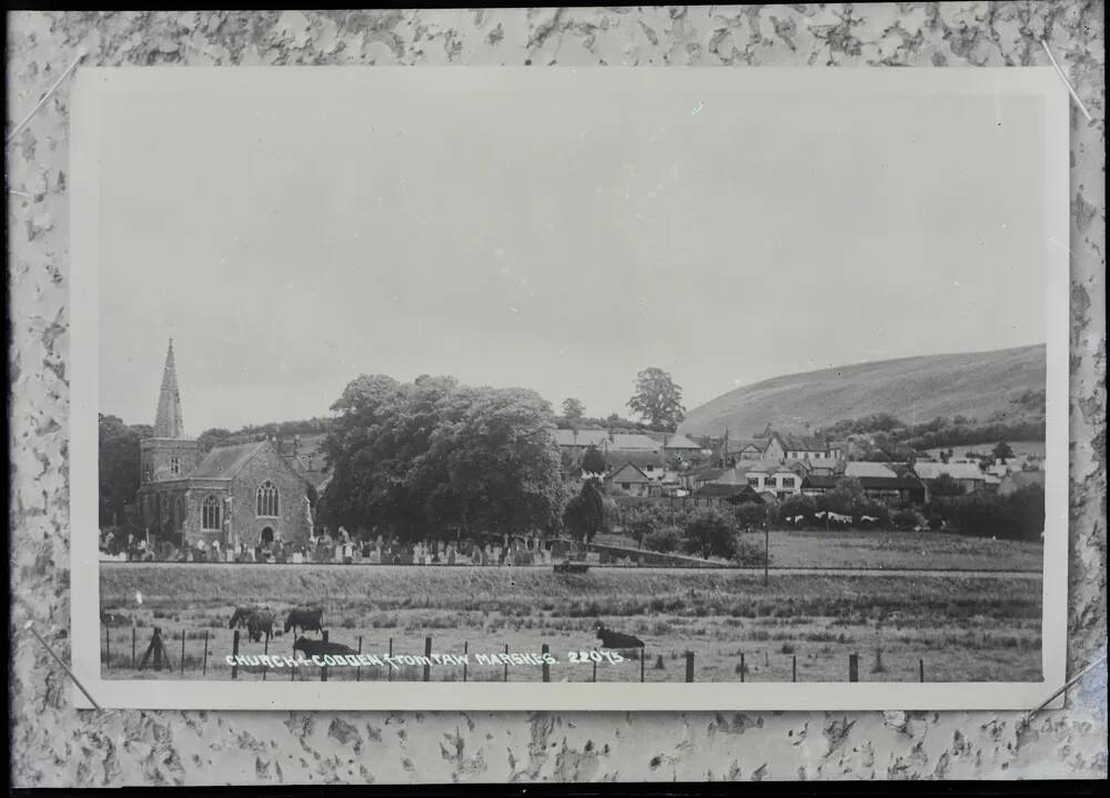 View of church and Codden from Taw Marshes, Bishops Tawton