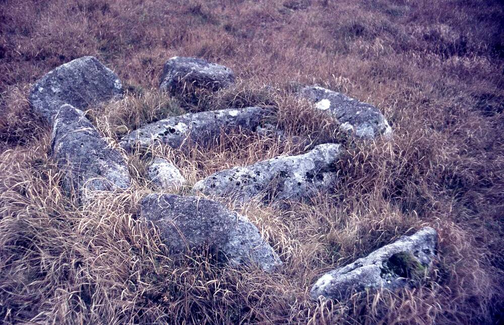 An image from the Dartmoor Trust Archive