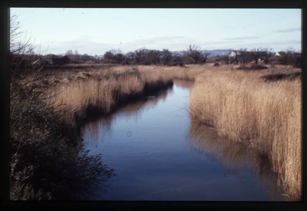 Stover canal - Whitelake