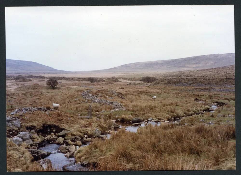 An image from the Dartmoor Trust Archive