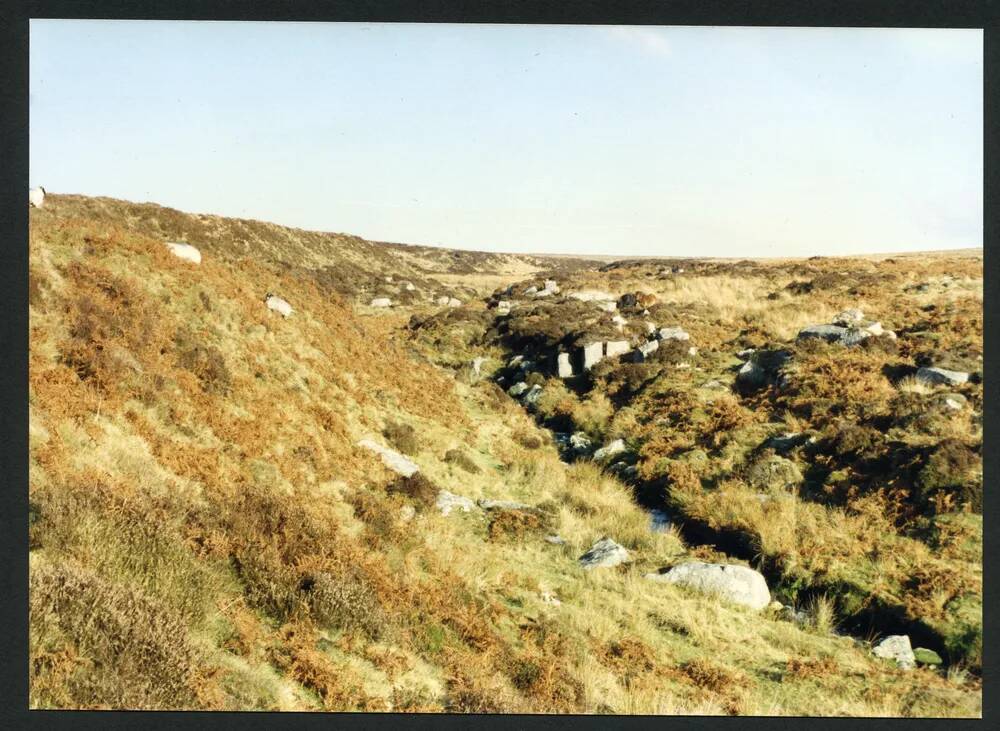 An image from the Dartmoor Trust Archive