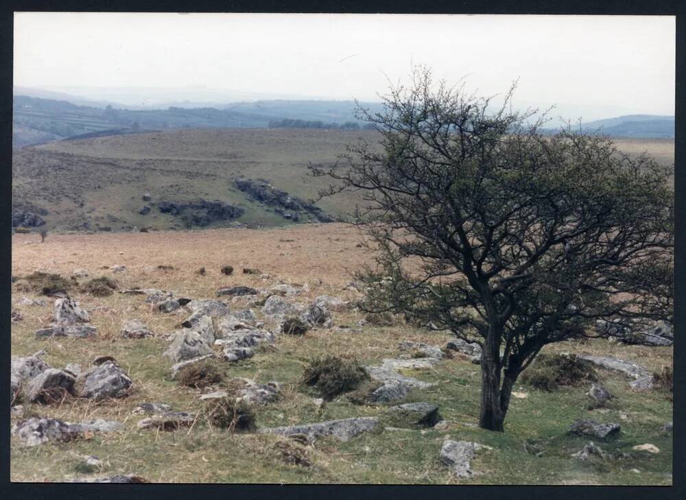 An image from the Dartmoor Trust Archive