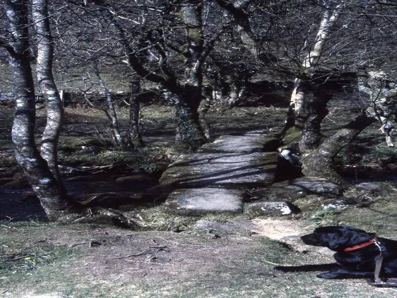 An image from the Dartmoor Trust Archive