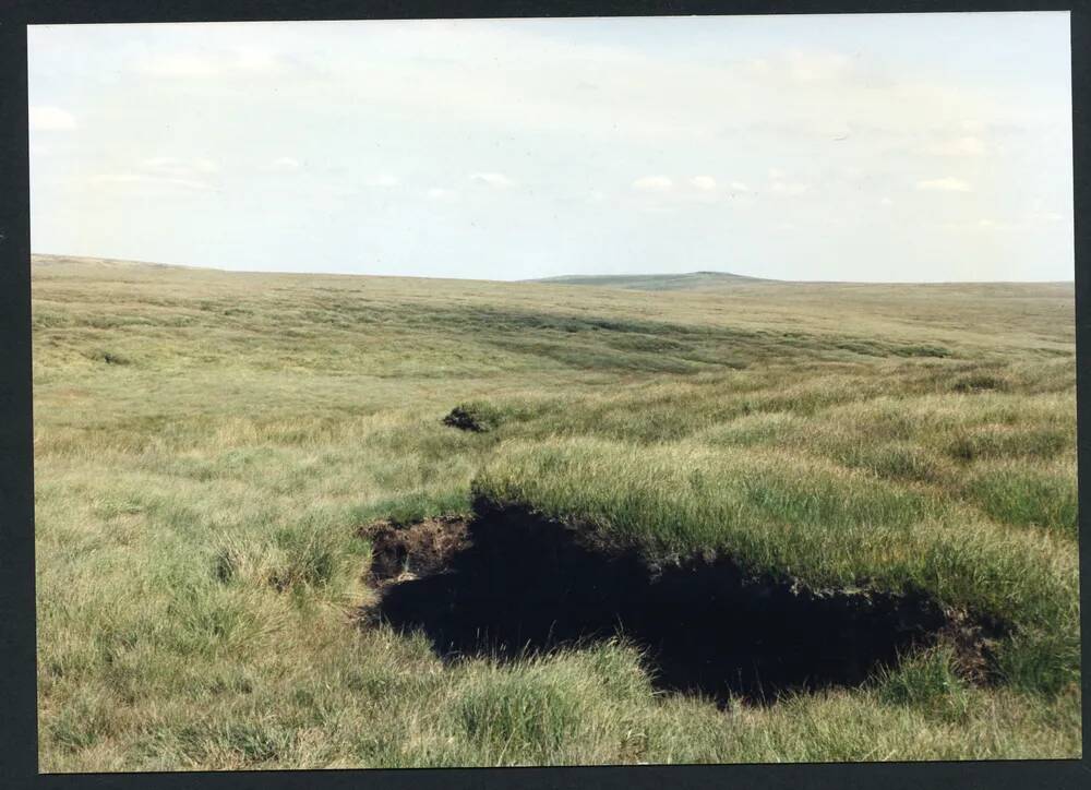 32/46 Near source of Cut Lane stream to Quintin's Man 18/8/1991