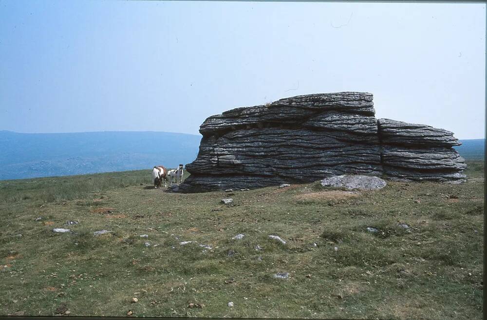 Branscombe's loaf