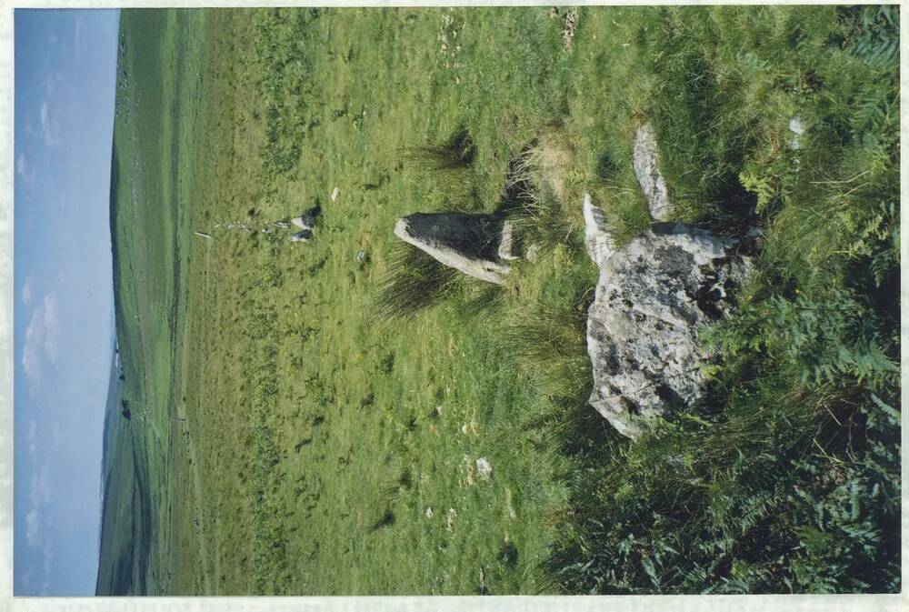 An image from the Dartmoor Trust Archive