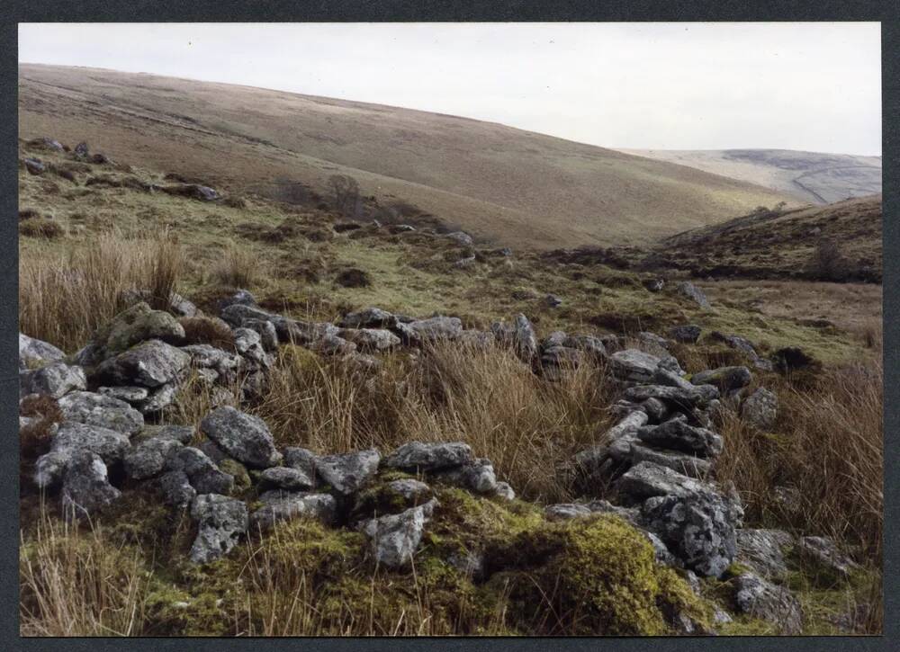 An image from the Dartmoor Trust Archive