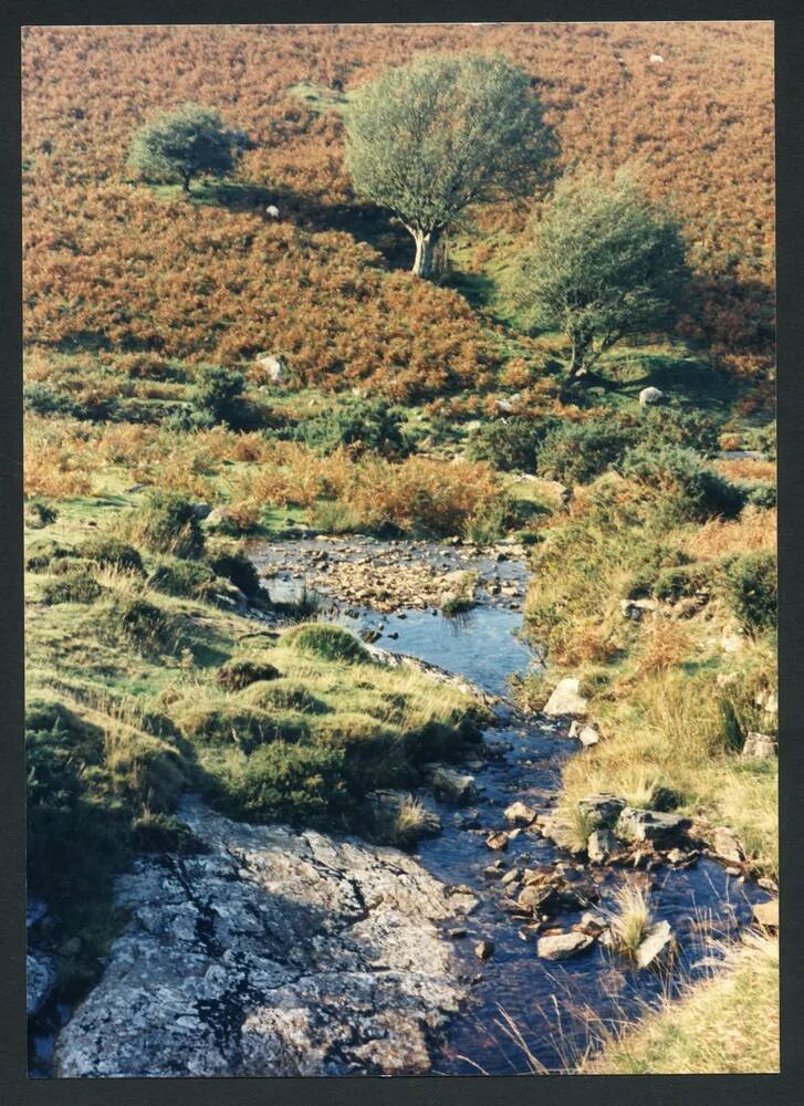 An image from the Dartmoor Trust Archive