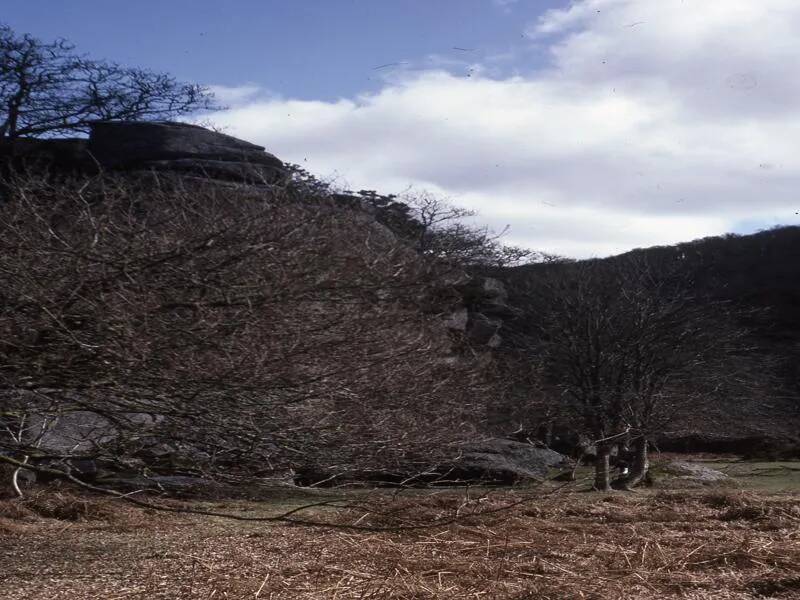 An image from the Dartmoor Trust Archive