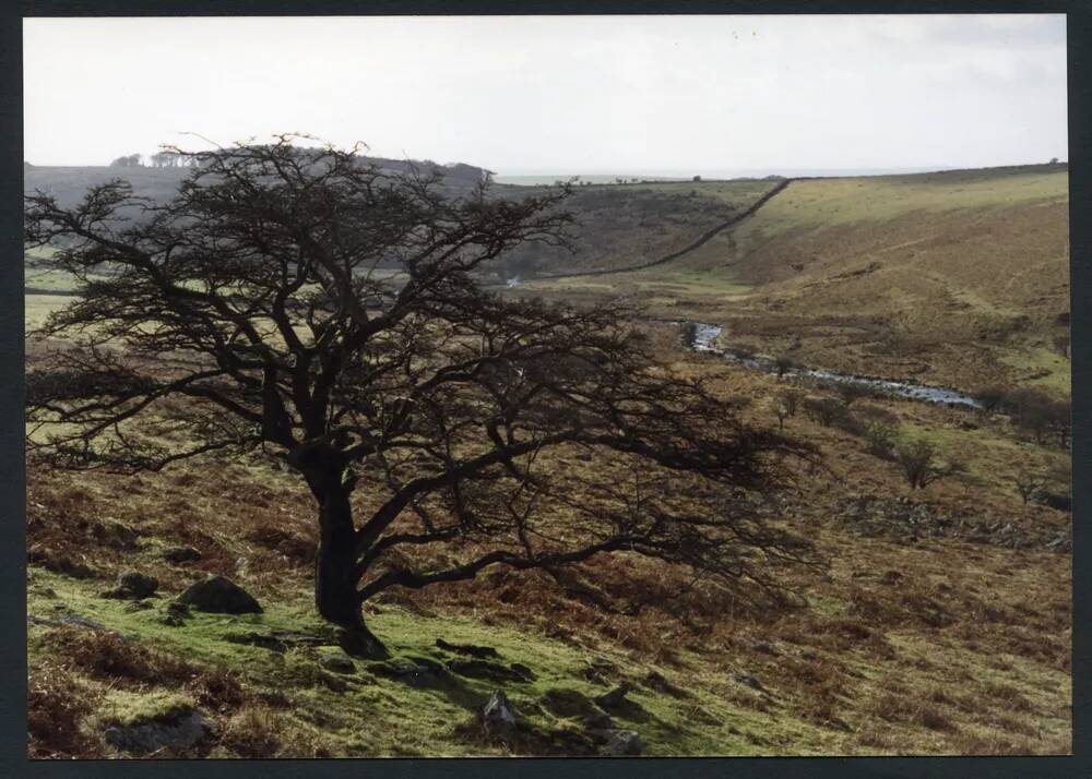 An image from the Dartmoor Trust Archive