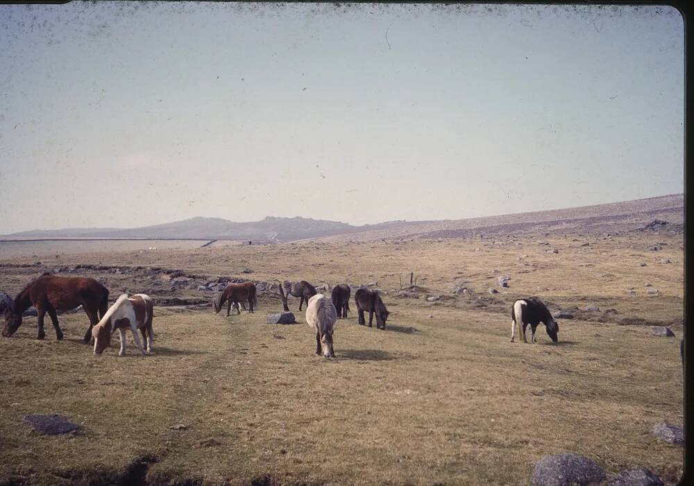 An image from the Dartmoor Trust Archive