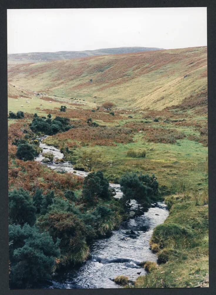 An image from the Dartmoor Trust Archive