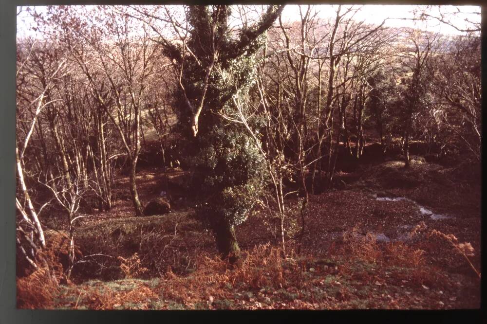 Mine Floor at East Vitifer