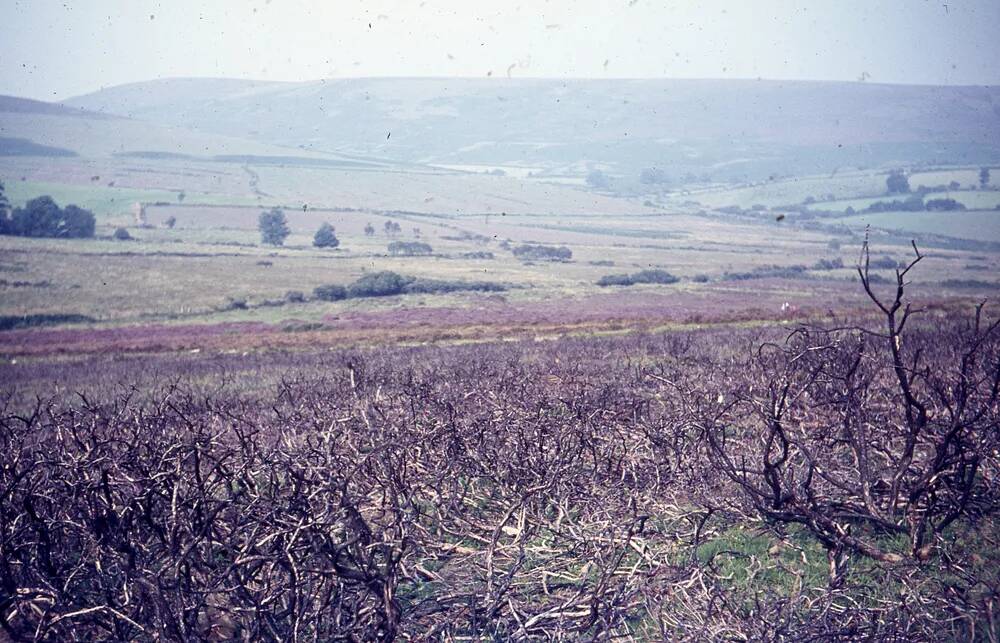 An image from the Dartmoor Trust Archive